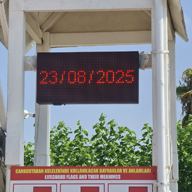 23.08.2025